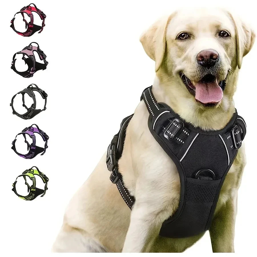 Leather Dog Collar Set
