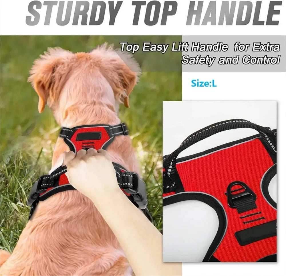 Leather Dog Collar Set