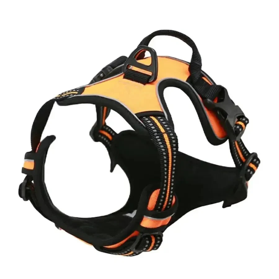 Leather Dog Collar Set