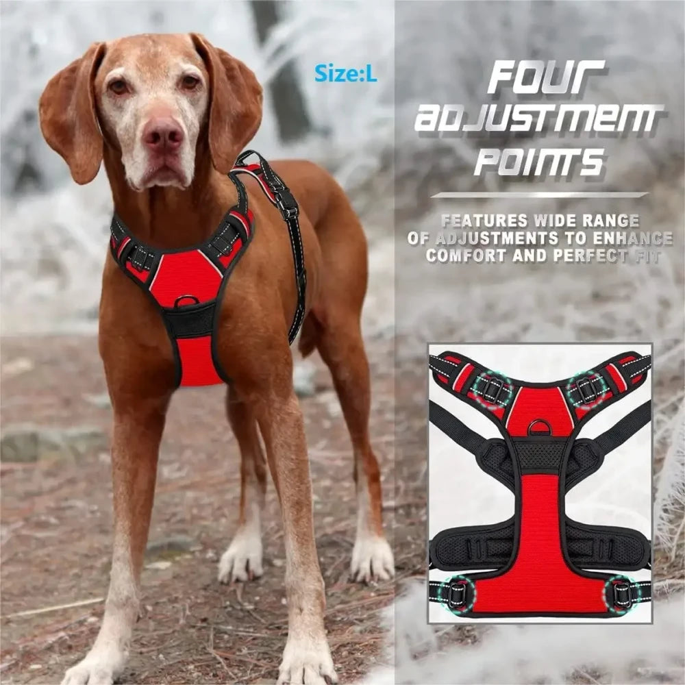 Leather Dog Collar Set