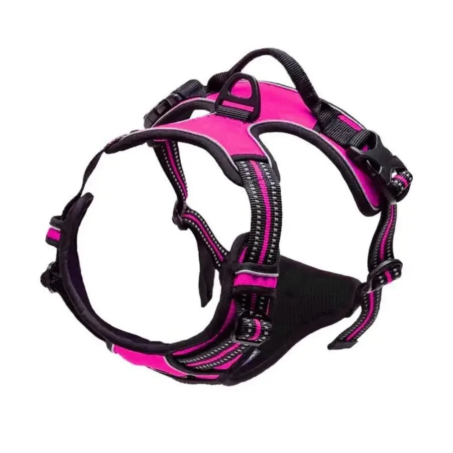 Leather Dog Collar Set