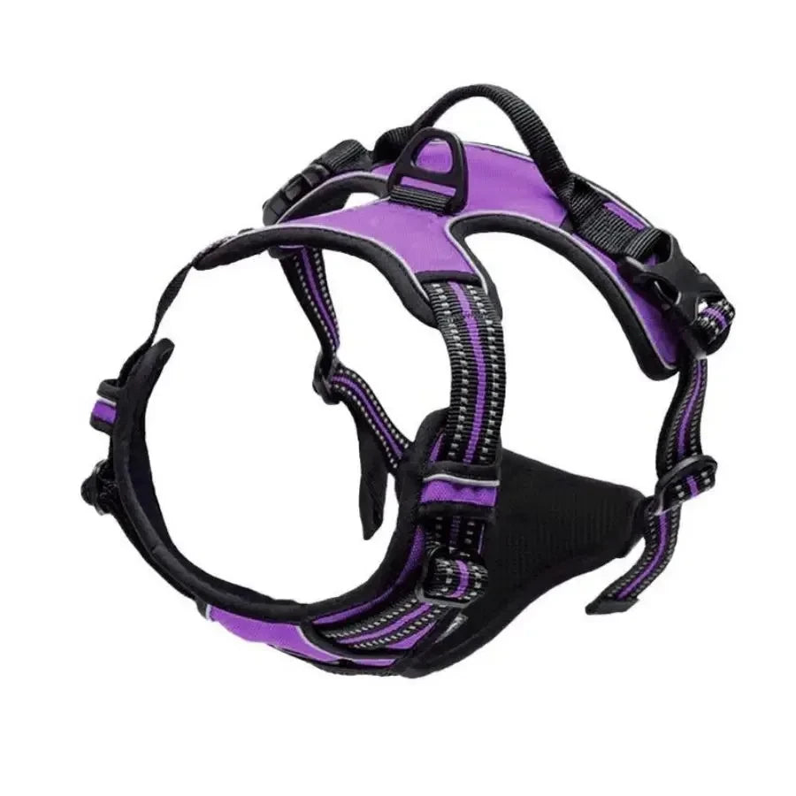 Leather Dog Collar Set