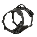 Leather Dog Collar Set