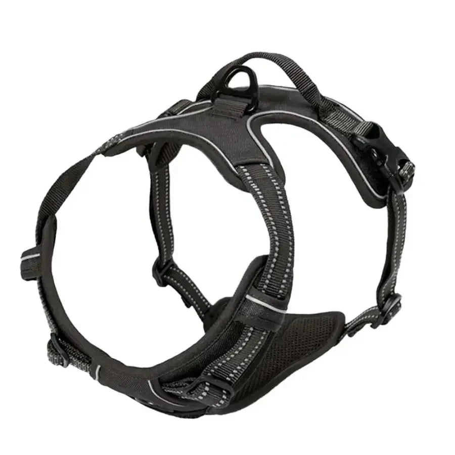 Leather Dog Collar Set