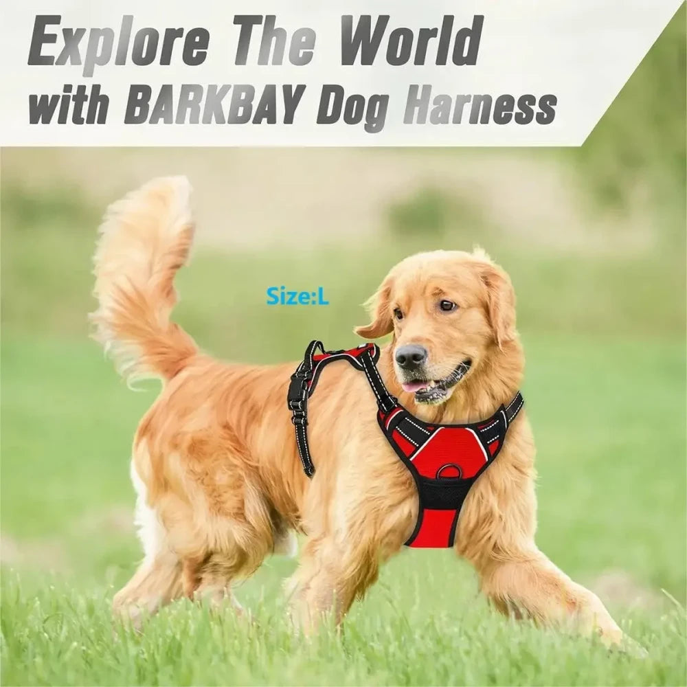 Leather Dog Collar Set