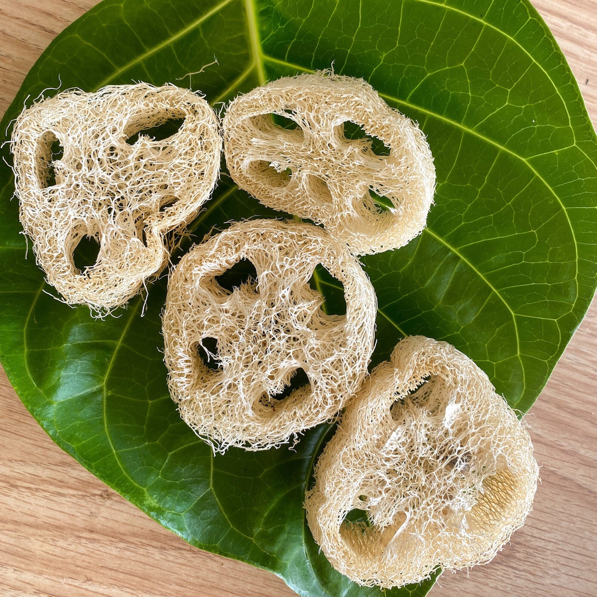 Loofa Slice Soap Lifter, Shampoo Bar Lift, Compostable Soap Saver Pad